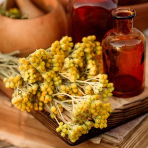 Immortelle, olasz szalmagyopár
